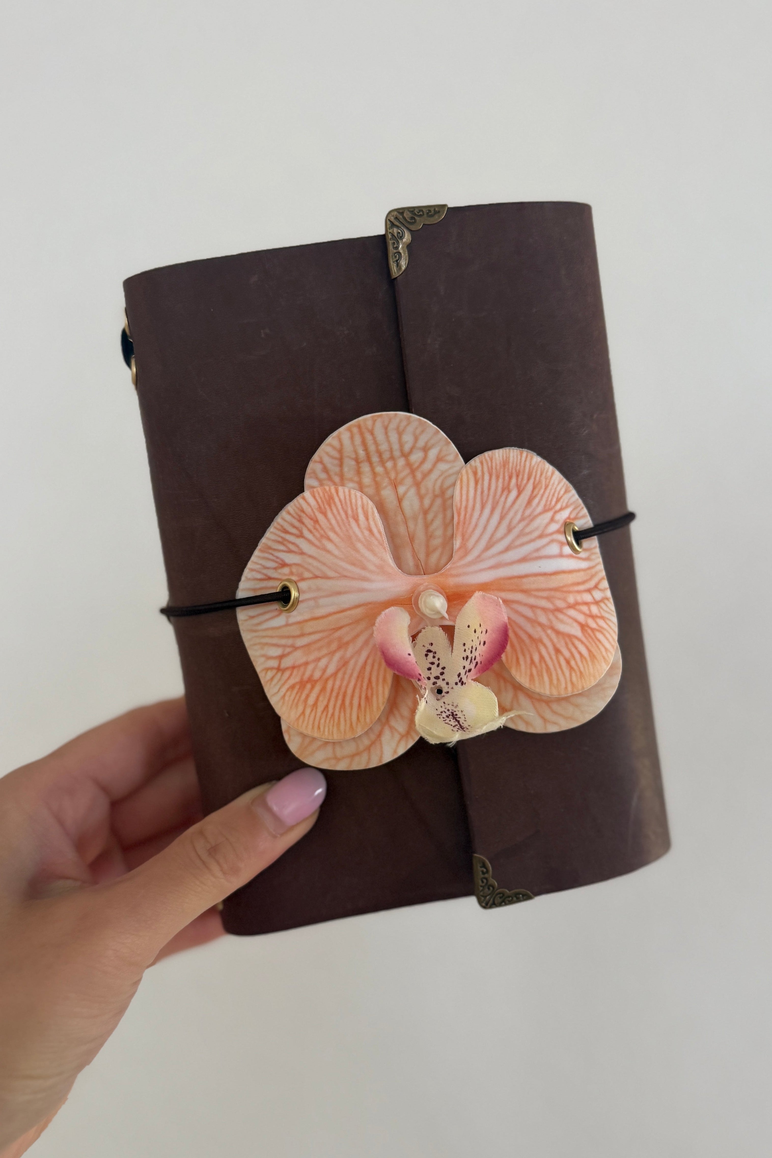 A6 tangerine orchid