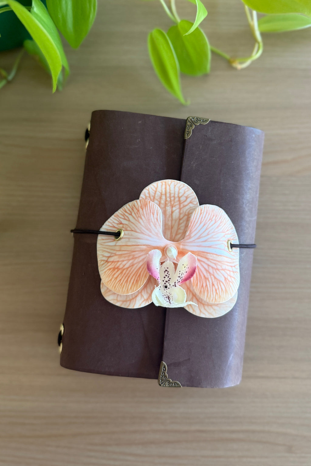 A6 tangerine orchid