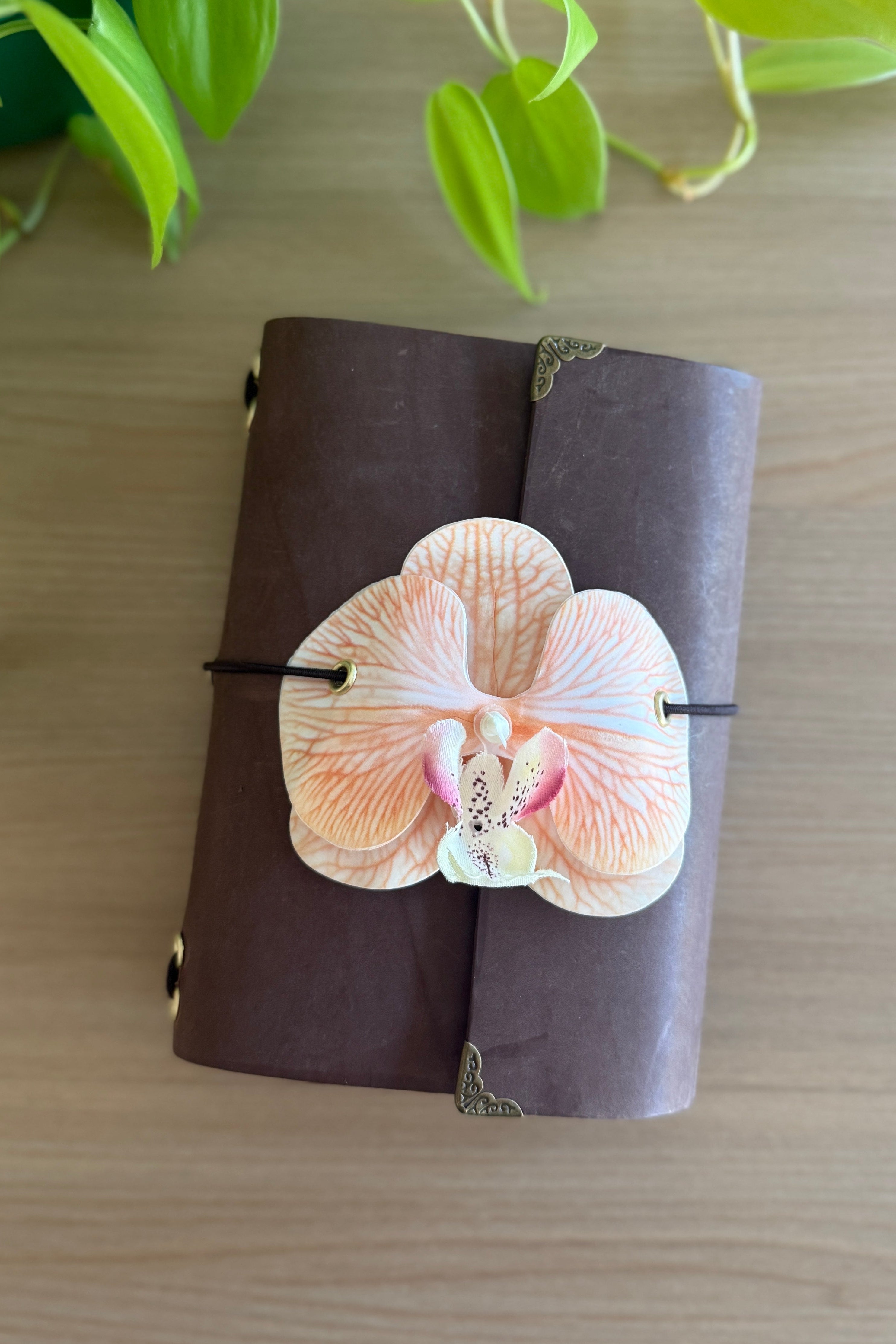A6 tangerine orchid