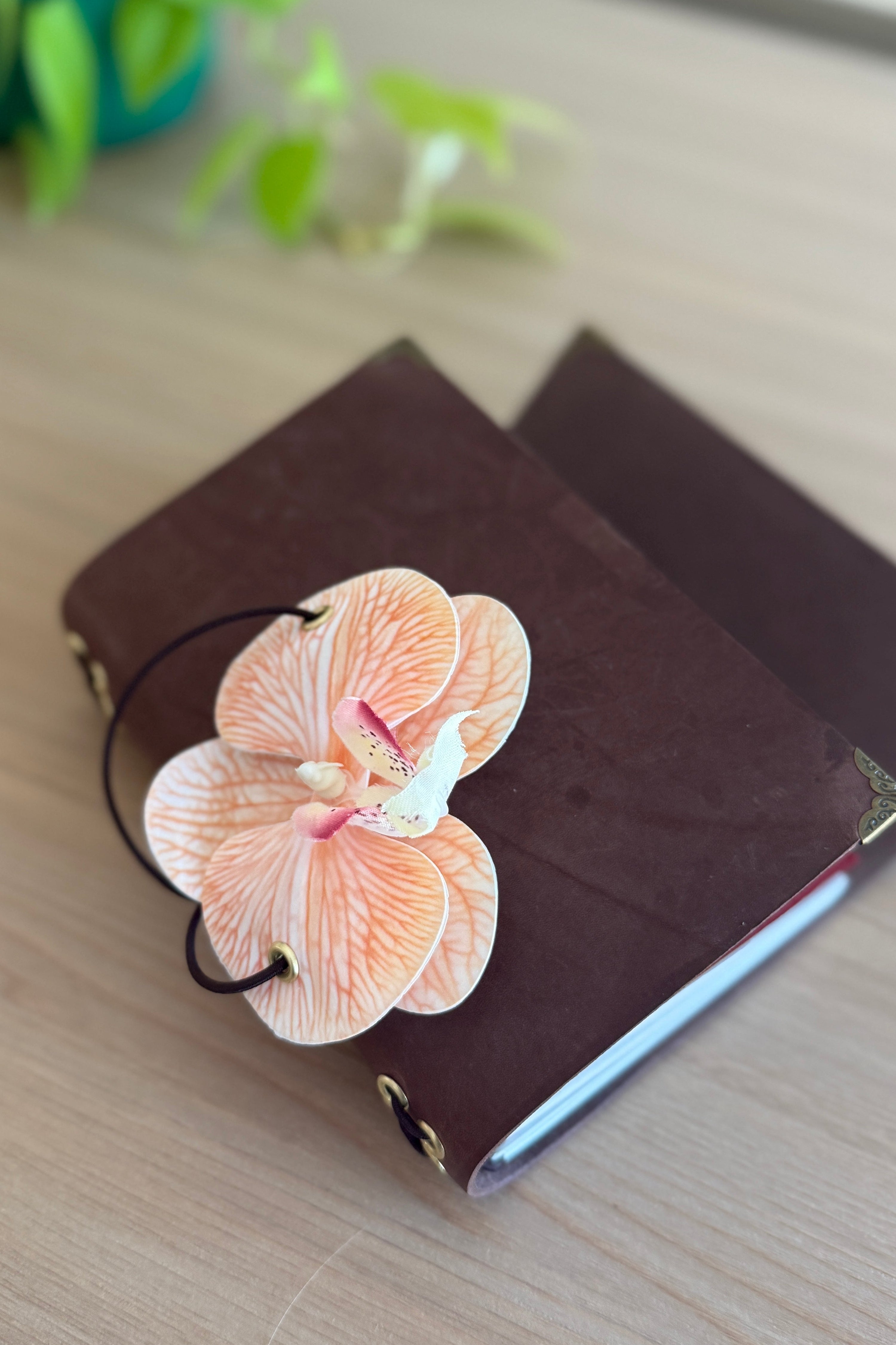 A6 tangerine orchid