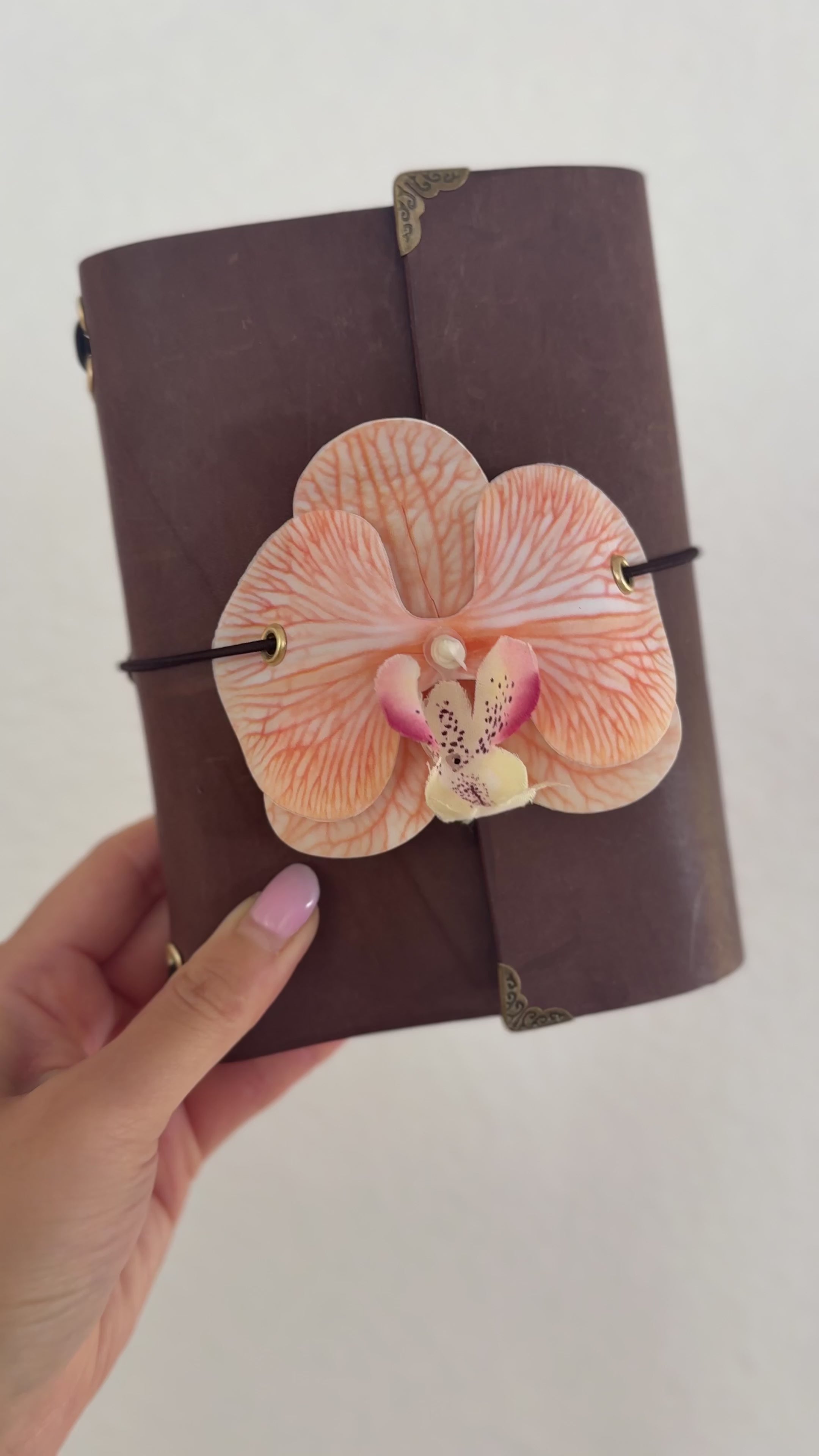 A6 tangerine orchid
